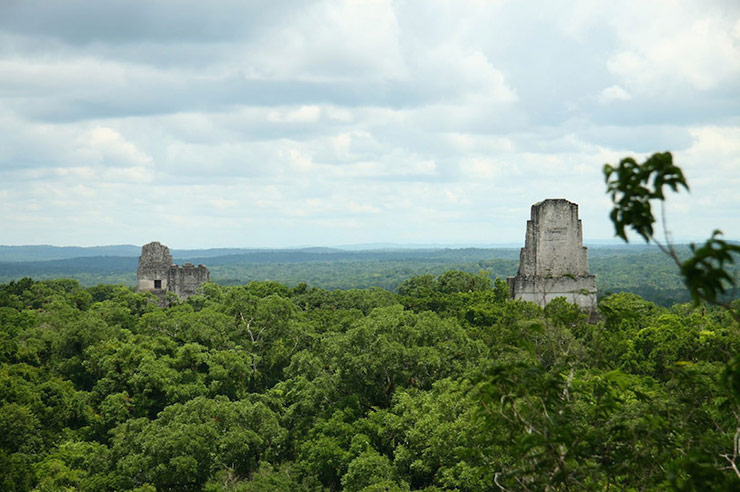 Tikal Ruins