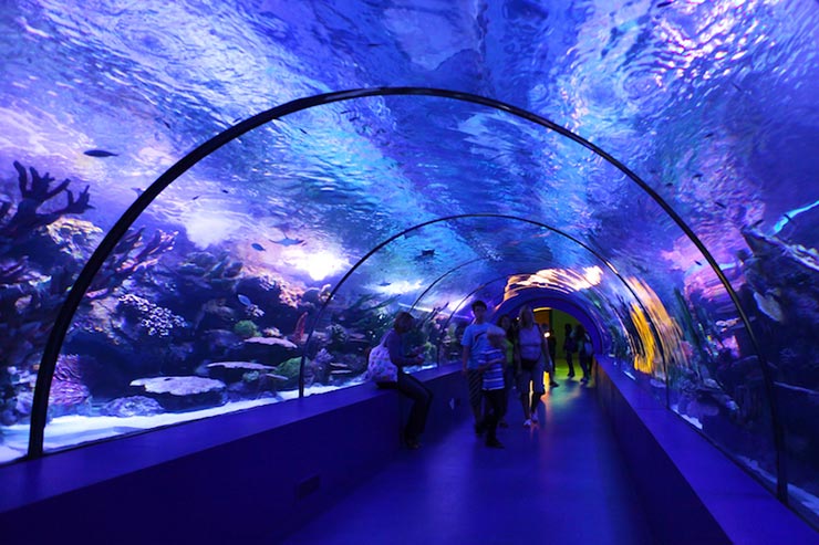 Antalya Aquarium