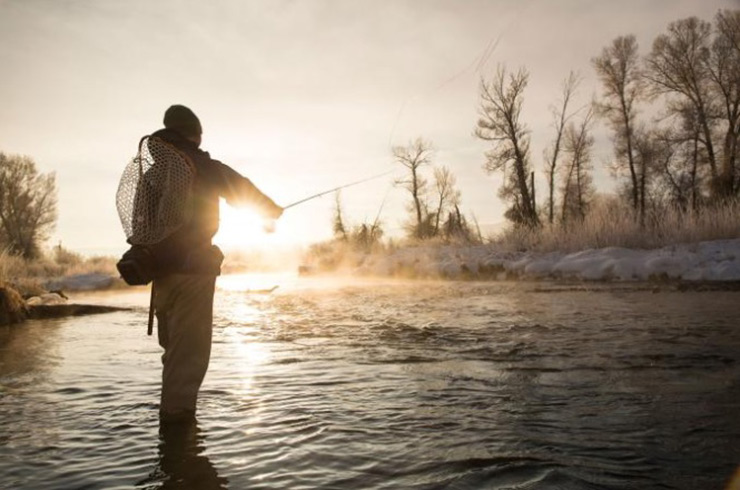 Learn to Catch Your Dinner