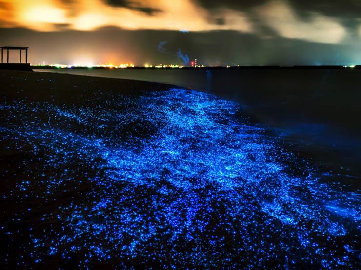 Bioluminescent Beaches, Maldives