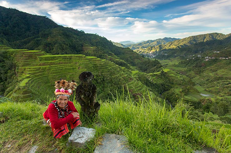 See the rice paddies of the Philippine Cordilleras