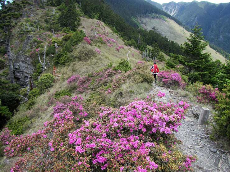 Shei-Pa National Park