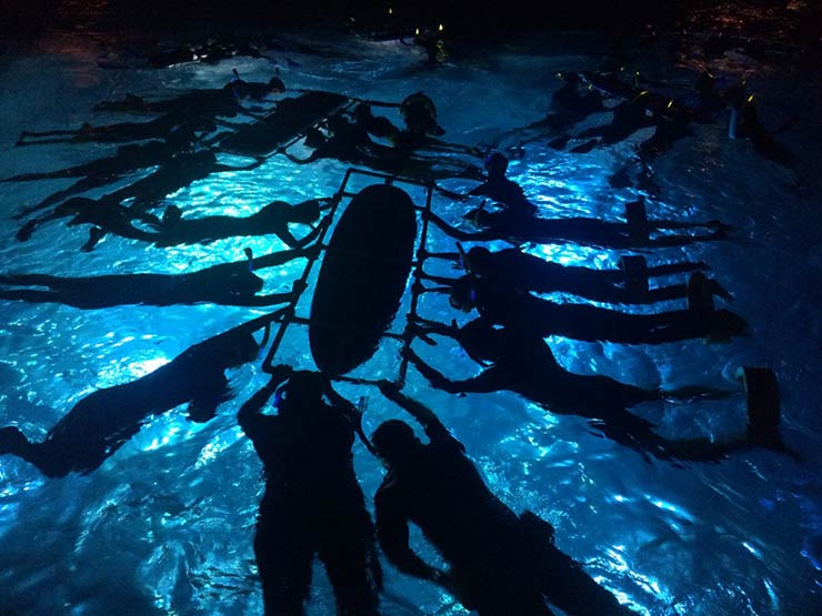 Night Snorkelling with Mantas