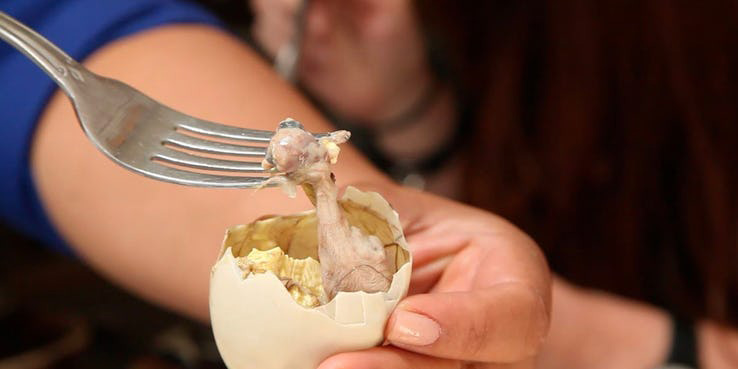 جنین پخته شده اردک