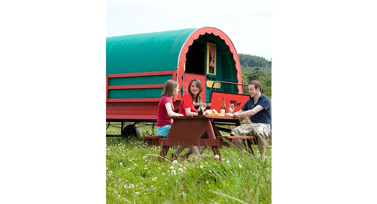 Gypsy Caravans in Wicklow