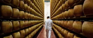 پنیر پارمیجیانو؛ مقوی ترین وکامل ترین غذای جهان  در ایتالیا