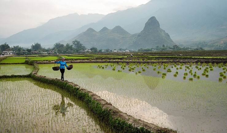 Lai Chau