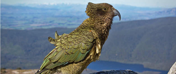 Fiordland National Park