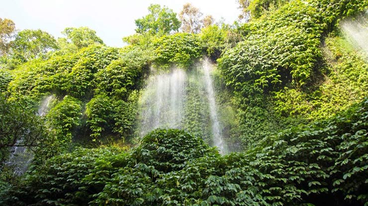 Waterfalls