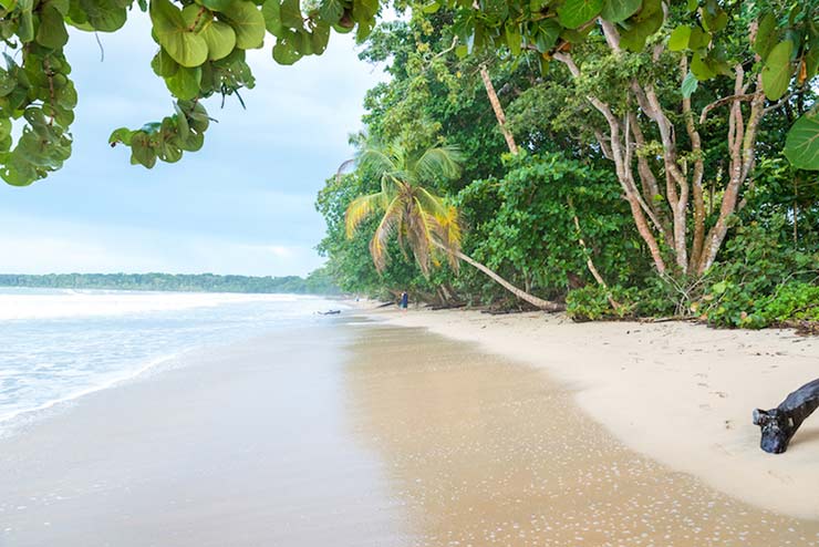 Cahuita National Park