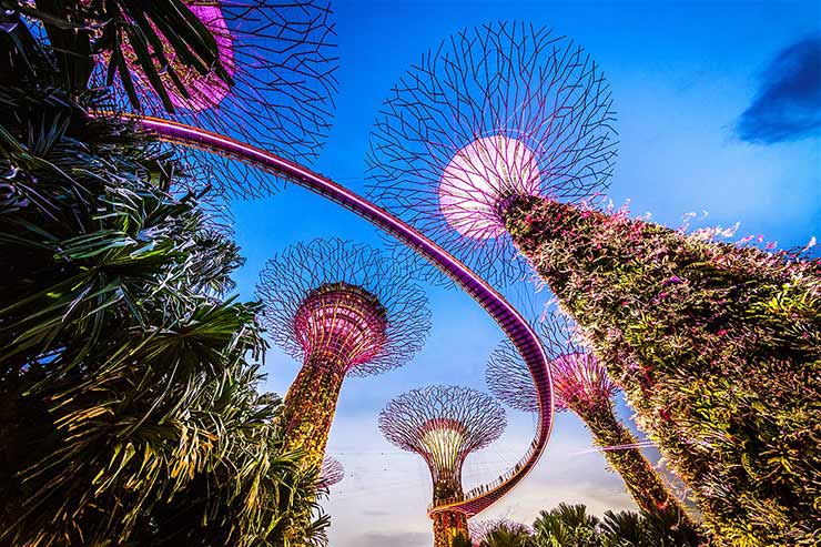  Singapore’s futuristic Gardens