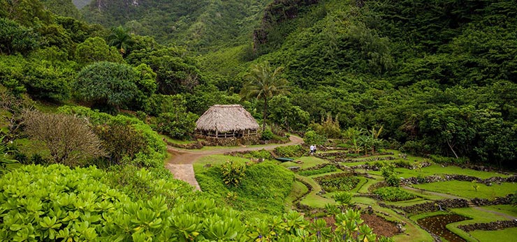 The Limahuli Garden