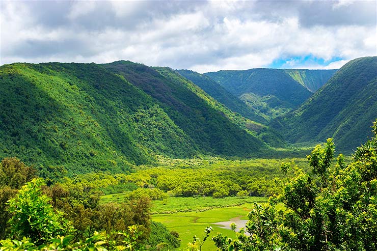 The lush, green mountains of the Polulu Valley