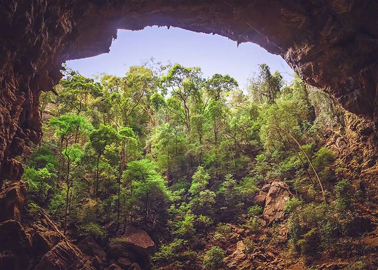 Madagascar's Ankarana National Park