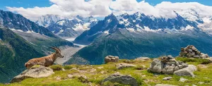 بهترین مسیرهای طبیعت‌نوردی در سوئیس