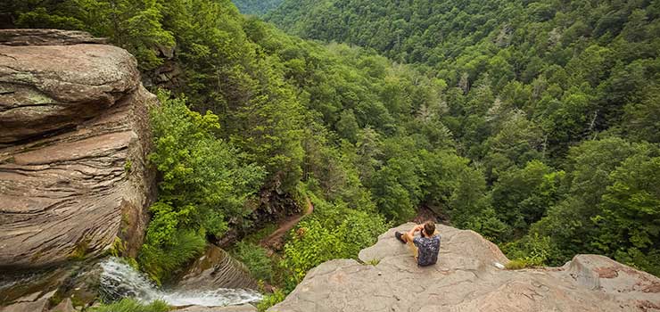 مرگ و میر برای عکس اینستاگرام