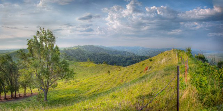 Iowa Loess Hills Trail