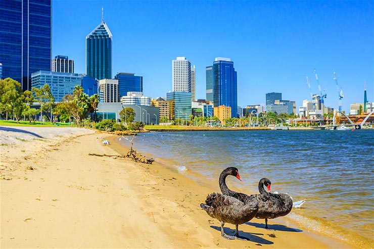 Perth