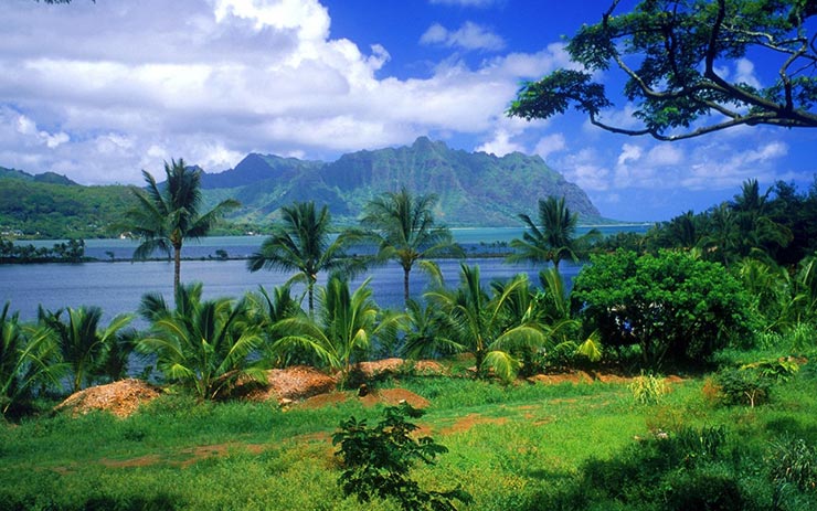 جزایر هاوایی