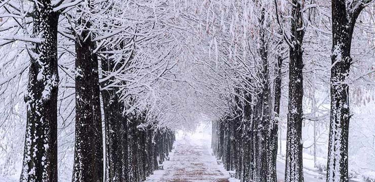 سفر زمستانی به یادماندنی در کره جنوبی