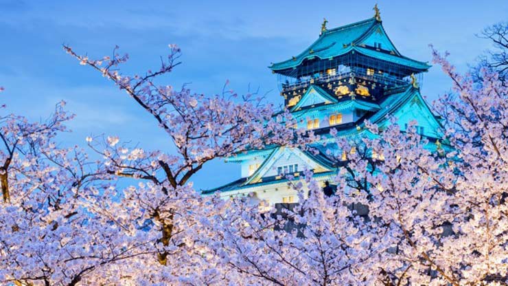 1684150327 604 جشنواره شکوفه های گیلاس در ژاپن
