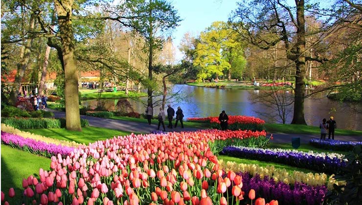 Keukenhof, Netherlands  