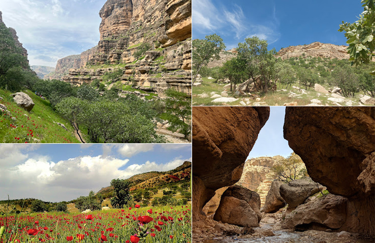 جاهای دیدنی کوهدشت لرستان