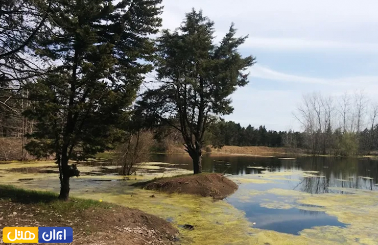 جاهای دیدنی بندر انزلی، سرزمین مردابهای آرام و رودهای روان 11 برکهای زیبا و کوچک در میان پارک جنگلی انزلی