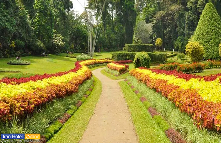 جاده زیبا با طبیعتی رنگارنگ , گل های متنوع در باغ گیاه شناسی چابهار