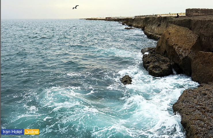 ساحل صخره‌ای دریا بزرگ با آب‌های مواج و مرغان دریایی بر فراز آن