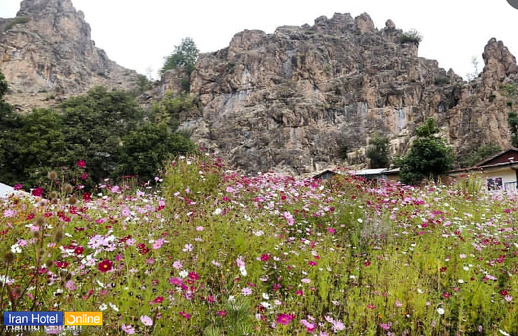 روستای الیت چالوس؛ دهکده الیت مازندران را بهتر بشناسید! 11 بهار پر گل در دامنه دشتهای روستای الیت مازندران