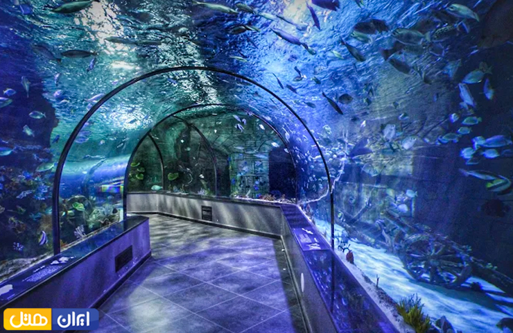 جاهای دیدنی بندر انزلی، سرزمین مردابهای آرام و رودهای روان 5 عکسی از تونل زیبای آکواریم انزلی و آبزیان متنوع در آن