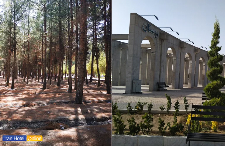 دو عکس از کاج‌های انبوه و سر در ورودی پارک جنگلی بیرجند