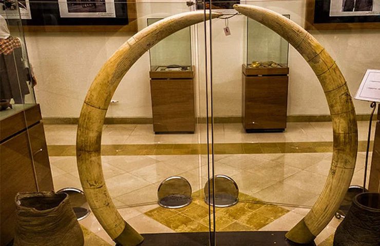 عاج و پای فیل در موزه برادران امیدوار کاخ سعد آباد