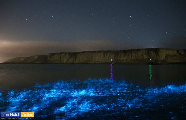 تصویری رویایی از ساحل شب تاب چابهار به رنگ نقره‌ای و نورانی