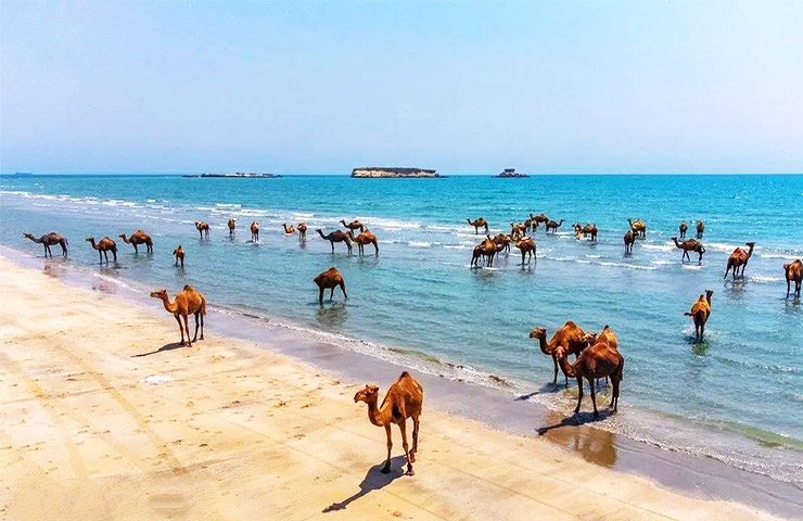 جاهای دیدنی قشم در بهار