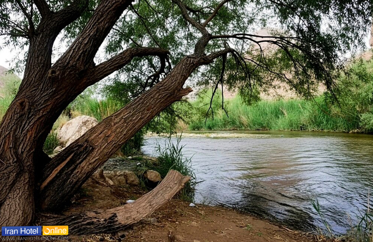 تصویری زیبا از طبیعت زیبای رودبال داراب در فصل بهار