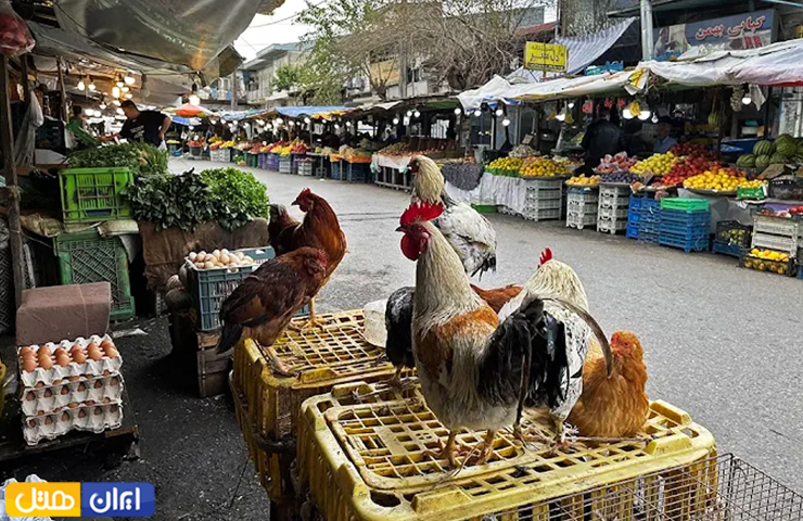 مراکز خرید بندر انزلی؛ معرفی بازارها و پاساژهای انزلی + عکس 7 بازار سنتی بندر انزلی با دستفروشهایی که مشغول فروش کالاهای خود هستند