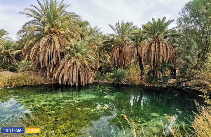 چشمه جوشان و سبز رنگ آب گرم دیگ رستم طبس و با نخل‌هل سرسبز در اطراف آن