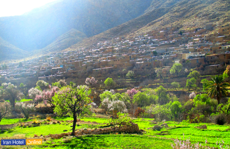 سرسبزی و طبیعت دلنشین روستای نوایگان داراب در فصل بهار با خانه‌های زیبا