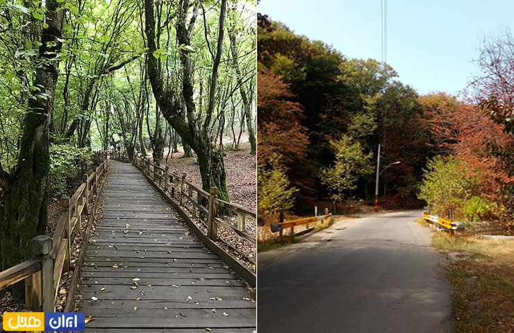 جاهای دیدنی گرگان؛ بهترین جاذبه های طبیعی و تاریخی گرگان 17 دو تصویر زیبا از پاییز و بهار پارک جنگلی الگندره