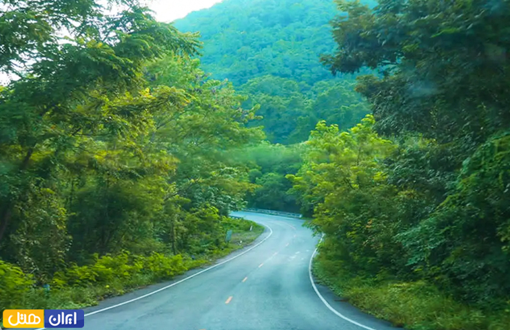 جاهای دیدنی گرگان؛ بهترین جاذبه های طبیعی و تاریخی گرگان 29 جنگل تن سبز و رویایی توسکستانی و جاده رویایی در میان آن در فصل تابستان