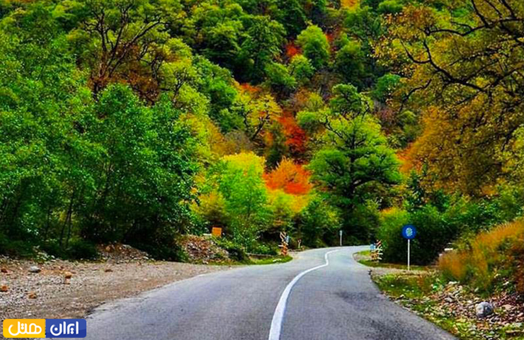 جاهای دیدنی گرگان؛ بهترین جاذبه های طبیعی و تاریخی گرگان 3 رنگآمیزی درختها در ابتدای پاییز در عکسی مربوط به جاده دسترسی جنگل توسکستانی