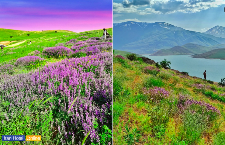 جاهای دیدنی ارومیه، نگین درخشان آذربایجان غربی 1 منظره زیبای بهاری در کوه دالامپر از جاهای دیدنی ارومیه در بهار