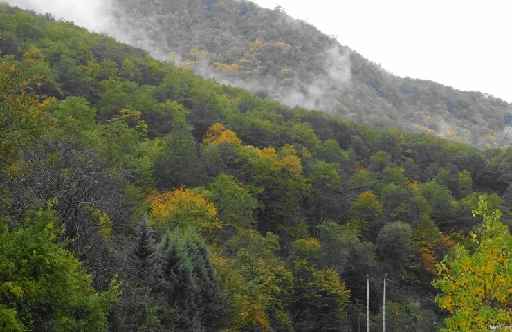 طبیعت روستای سنگ پشته 