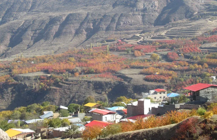 روستای کامان