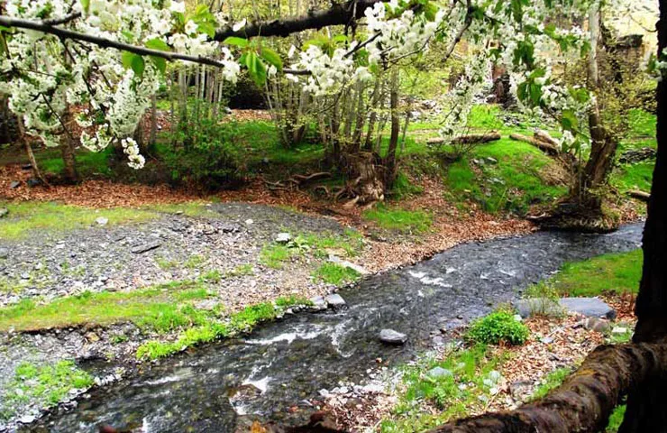 نمایی دیگر از رودخانه جنگ جیغ