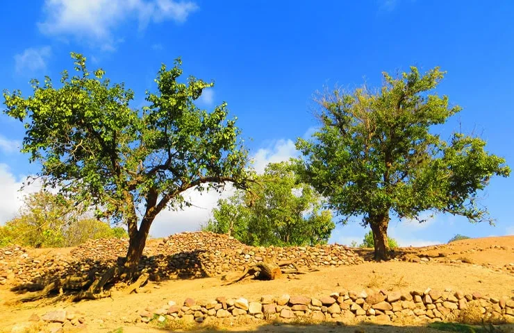 طبیعت روستای فشند