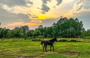 جاهای دیدنی آستانه اشرفیه گیلان