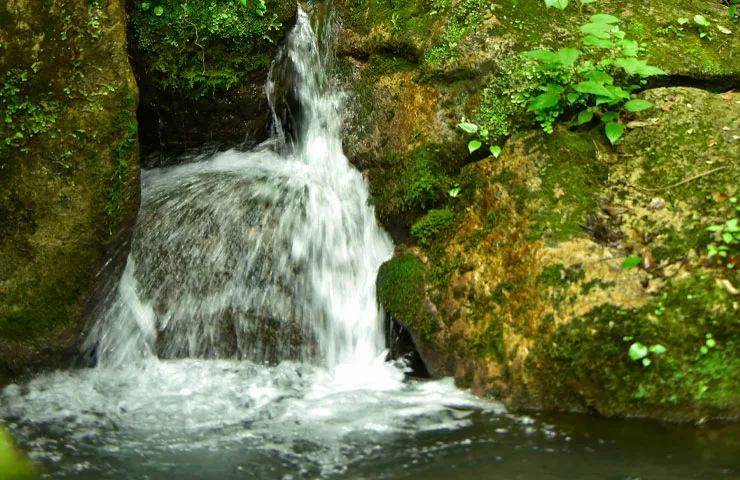 چلندر نوشهر کجاست؟